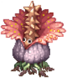 Swift Rafflesia Arnoldi